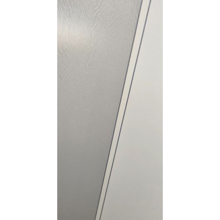 Дверь межкомнатная Hartwood DC-3 (Hardwood silver) 